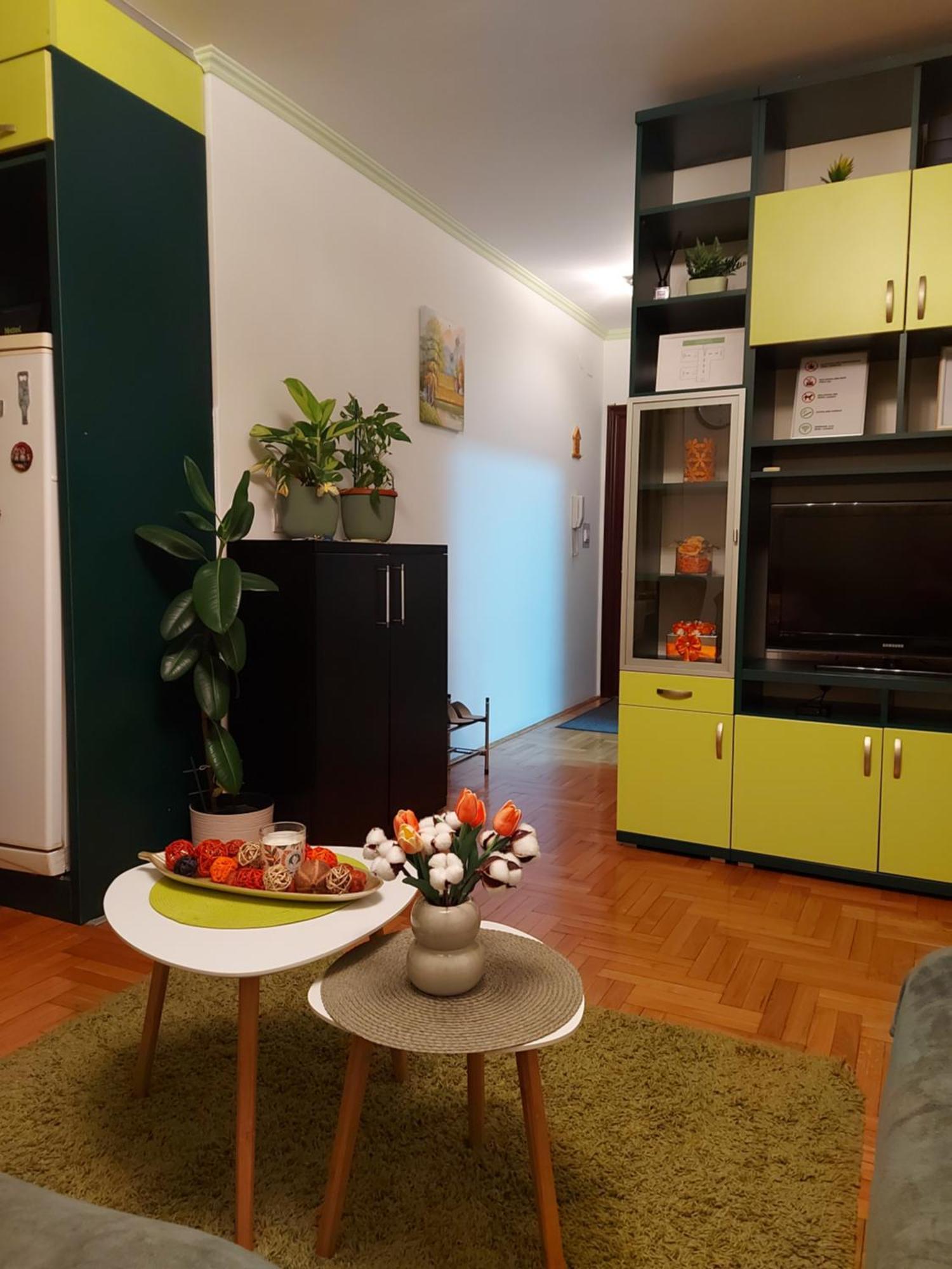 Stancicmilena Apartment Pozarevac Exterior photo